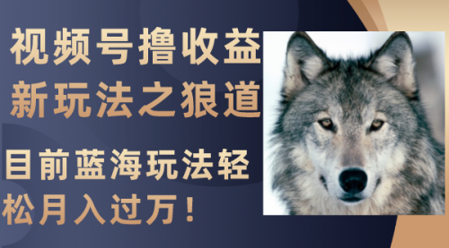 【副业项目8271期】视频号撸收益新玩法之狼道，目前蓝海玩法轻松月入过万！-网赚资源网