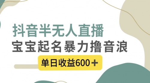 【副业项目8385期】抖音半无人直播，宝宝起名，暴力撸音浪，单日收益600+-网赚资源网
