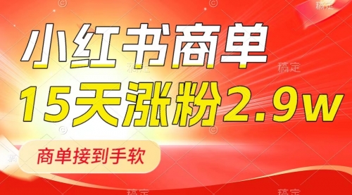 【副业项目8480期】小红书商单最新玩法，新号15天2.9w粉，接单到手软-网赚资源网