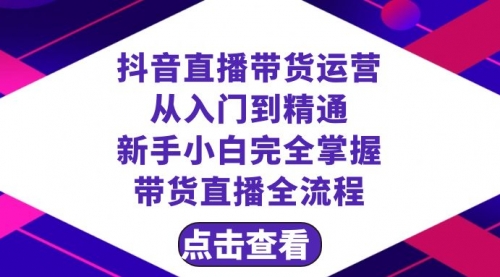 【副业项目8483期】抖音直播带货 运营从入门到精通，新手完全掌握带货直播全流程（23节-网赚资源网