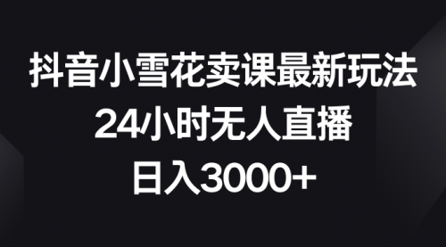 【副业项目8485期】抖音小雪花卖课最新玩法，24小时无人直播-网赚资源网