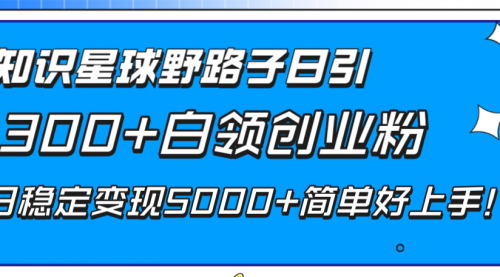 【副业项目8492期】知识星球野路子日引300+白领创业粉-网赚资源网