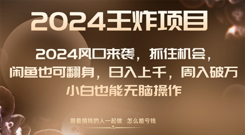 【副业项目8548期】2024闲鱼翻身项目，小白也可做-网赚资源网
