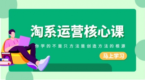 【副业项目8556期】淘系-运营核心课，你学的不是只方法是创造方法的根源-网赚资源网