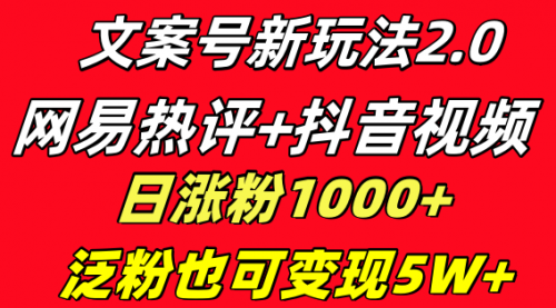 【副业项目8628期】文案号新玩法 网易热评+抖音文案 一天涨粉1000+-网赚资源网