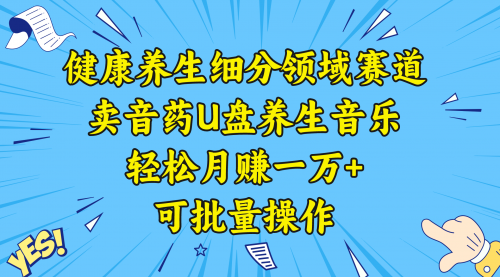 【副业项目8638期】健康养生细分领域赛道，卖音药U盘养生音乐，轻松月赚一万+，可批量操作-网赚资源网