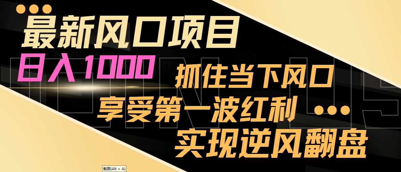 【副业8650期】最新风口项目，日入过千，抓住当下风口，享受第一波红利，实现逆风翻盘-网赚资源网
