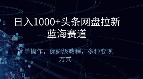 【副业8679期】日入1000+头条网盘拉新蓝海赛道，简单操作，保姆级教程，多种变现方式-网赚资源网