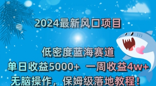【副业8681期】2024最新风口项目 低密度蓝海赛道，日收益5000+周收益4w+ 无脑操作-网赚资源网