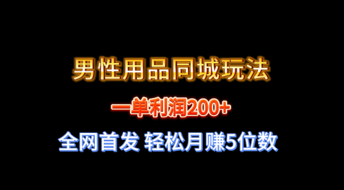 【副业8722期】一单利润200+ 男性用品同城玩法 轻松月赚5位数-网赚资源网