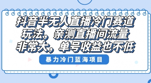 【副业8732期】抖音半无人直播冷门赛道玩法，直播间流量非常大，单号收益也不低！-网赚资源网