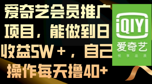 【副业8764期】爱奇艺会员推广项目，能做到日收益5W＋-网赚资源网