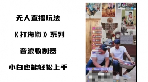 【副业8766期】打海椒无人直播整蛊项目，小白轻松上手撸音浪收割器（教程+工具+素材）-网赚资源网