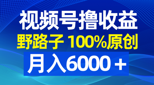 【副业8771期】视频号野路子撸收益，100%原创，条条爆款，月入6000＋-网赚资源网