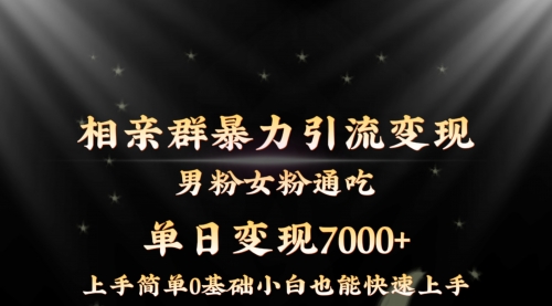 【副业8845期】相亲群暴力引流男粉女粉通吃变现玩法，单日变现7000+保姆教学1.0-网赚资源网