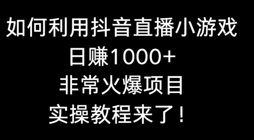 【副业8921期】如何利用抖音直播小游戏日赚1000+，非常火爆项目，实操教程来了！-网赚资源网