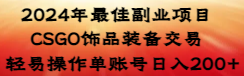 【副业8982期】2024年最佳副业项目 CSGO饰品装备交易 轻易操作单账号日入200+-网赚资源网