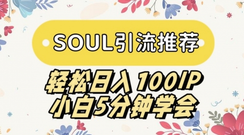 【副业9006期】SOUL引流推荐 轻松日入100IP 小白5分钟学会-网赚资源网