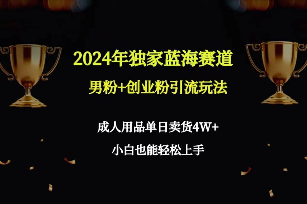 2024年独家蓝海赛道男粉+创业粉引流玩法，成人用品单日卖货4W+保姆教程-网赚资源网