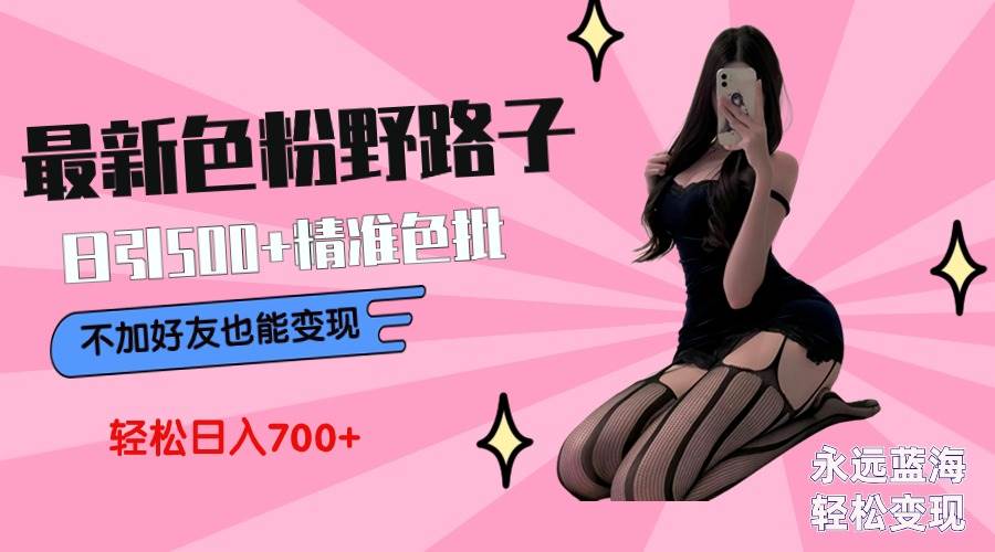最新色粉变现野路子，日引500+老色批 可不加好友直接变现 小白轻松日入700+-网赚资源网