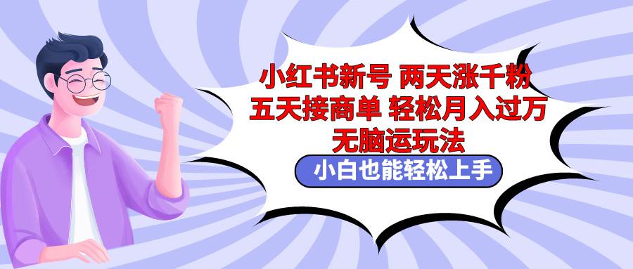 小红书新号两天涨千粉五天接商单轻松月入过万 无脑搬运玩法 小白也能轻…-网赚资源网