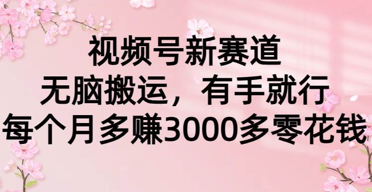 视频号新赛道，无脑搬运，有手就行，每个月多赚3000多零花钱-网赚资源网