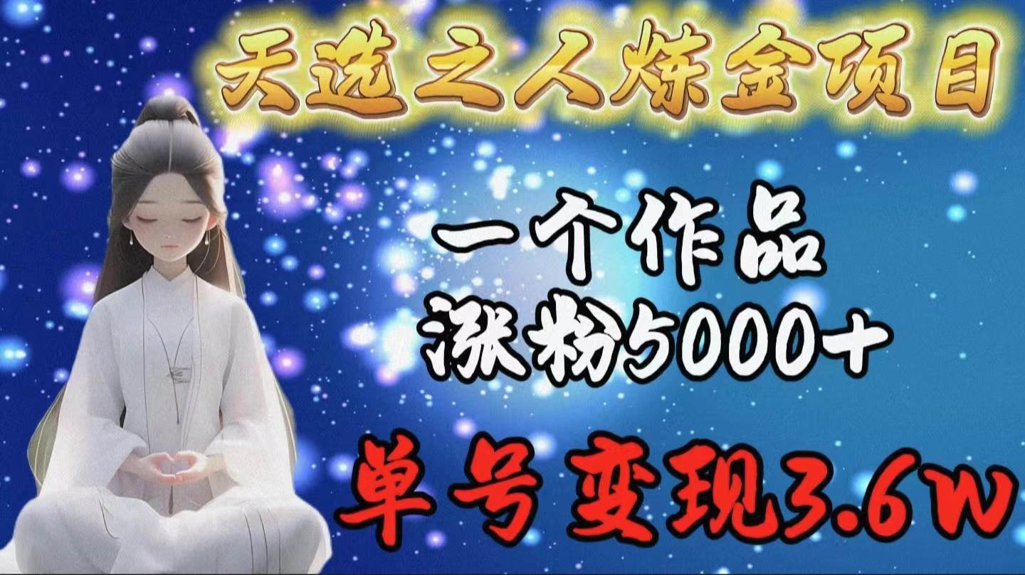 天选之人炼金项目，一个作品涨粉5000+，单号变现3.6w-网赚资源网