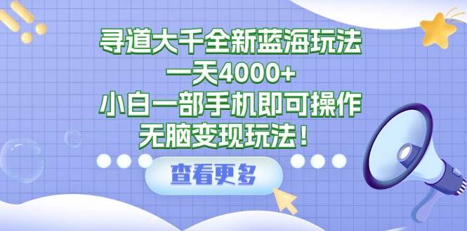 寻道大千全新蓝海玩法，一天4000+，小白一部手机即可操作，无脑变现玩法！-网赚资源网
