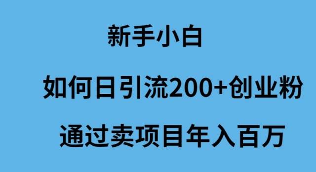 新手小白如何日引流200+创业粉通过卖项目年入百万-网赚资源网