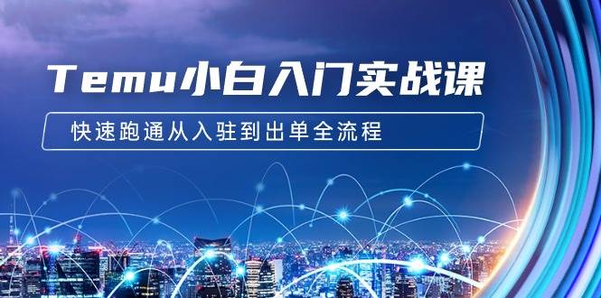 Temu小白入门实战课：跨境拼多多电商培训 快速跑通从入驻到出单全流程-12节-网赚资源网