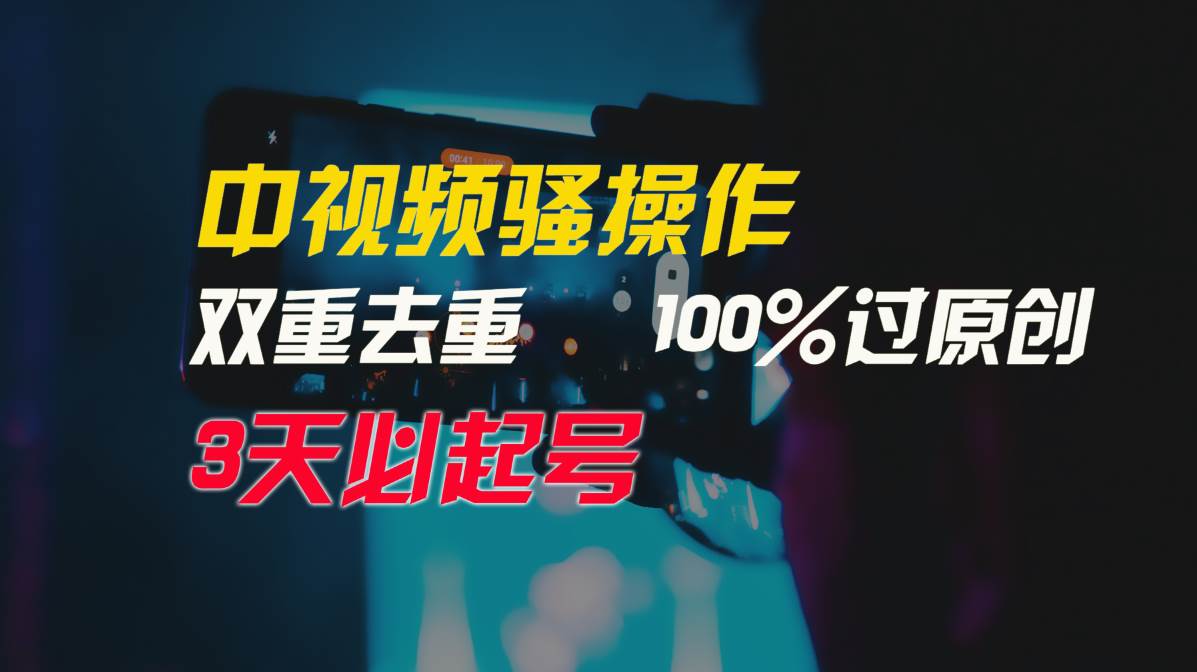 中视频骚操作，双重去重100%过原创，3天比必起号，简单无脑，月入3W+-网赚资源网