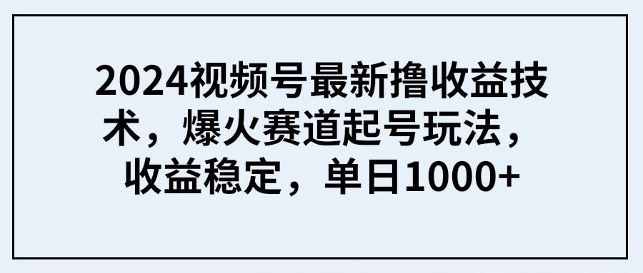 2024视频号最新撸收益技术，爆火赛道起号玩法，收益稳定，单日1000+-网赚资源网