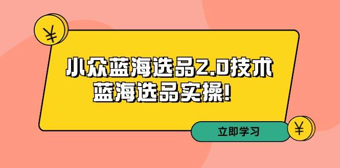 拼多多培训第33期：小众蓝海选品2.0技术-蓝海选品实操！-网赚资源网