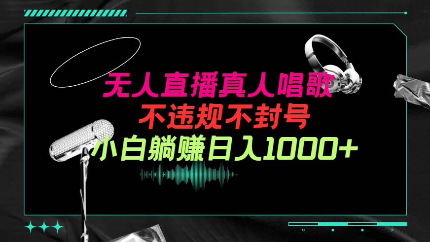 抖音24小时无人直播音乐，不违规，不封号纯撸音浪，小白实操当天日入1000+-网赚资源网