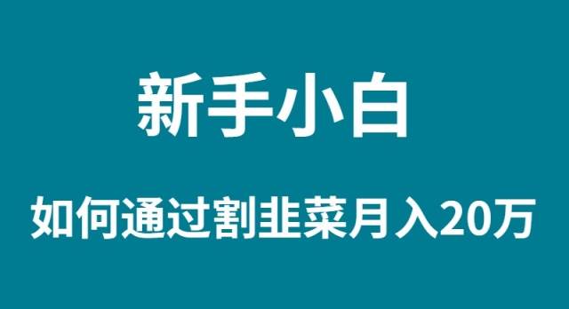 新手小白如何通过割韭菜月入 20W-网赚资源网