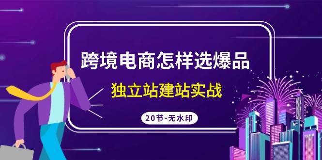 跨境电商怎样选爆品，独立站建站实战（20节高清无水印课）-网赚资源网