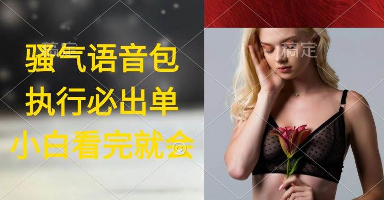 执行就出单，日入2000+，超火骚气语音包，小白看完课程就能马上实操-网赚资源网