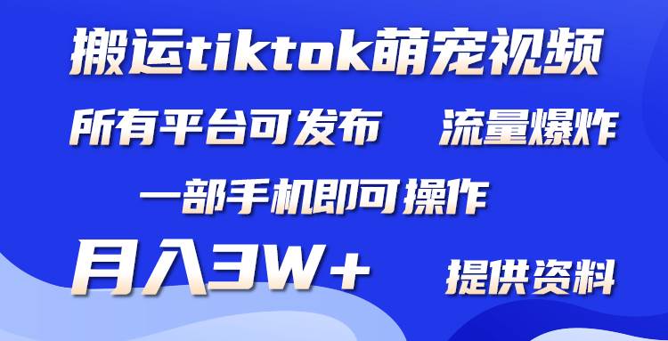 搬运Tiktok萌宠类视频，一部手机即可。所有短视频平台均可操作，月入3W+-网赚资源网