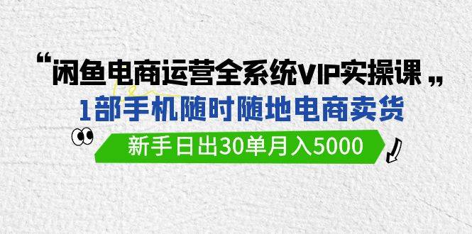 闲鱼电商运营全系统VIP实战课，1部手机随时随地卖货，新手日出30单月入5000-网赚资源网