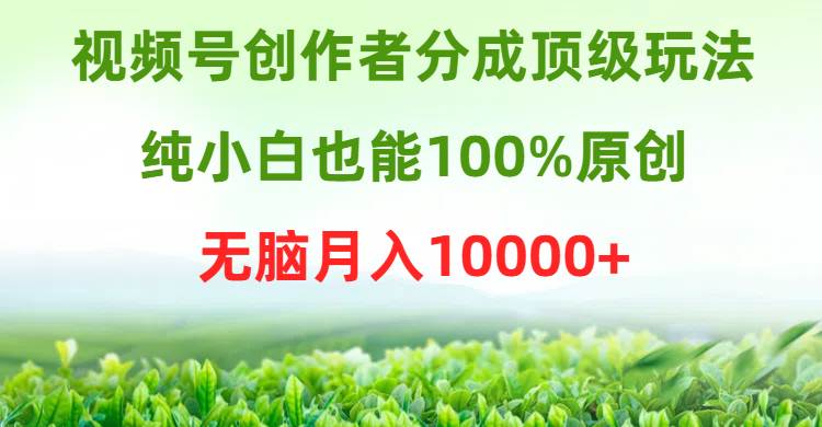 视频号创作者分成顶级玩法，纯小白也能100%原创，无脑月入10000+-网赚资源网