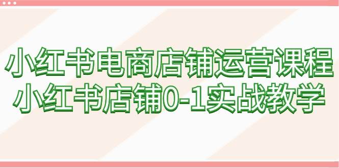 小红书电商店铺运营课程，小红书店铺0-1实战教学（60节课）-网赚资源网