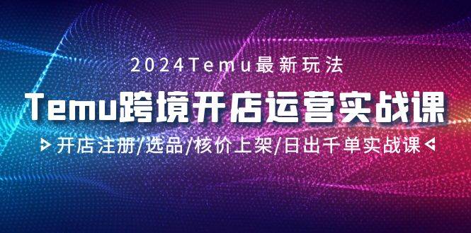 2024Temu跨境开店运营实战课，开店注册/选品/核价上架/日出千单实战课-网赚资源网