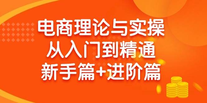 电商理论与实操从入门到精通 新手篇+进阶篇-网赚资源网