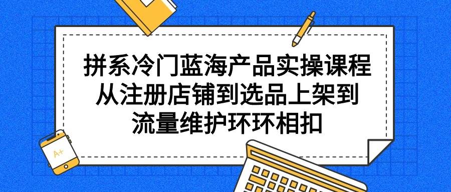 拼系冷门蓝海产品实操课程，从注册店铺到选品上架到流量维护环环相扣-网赚资源网