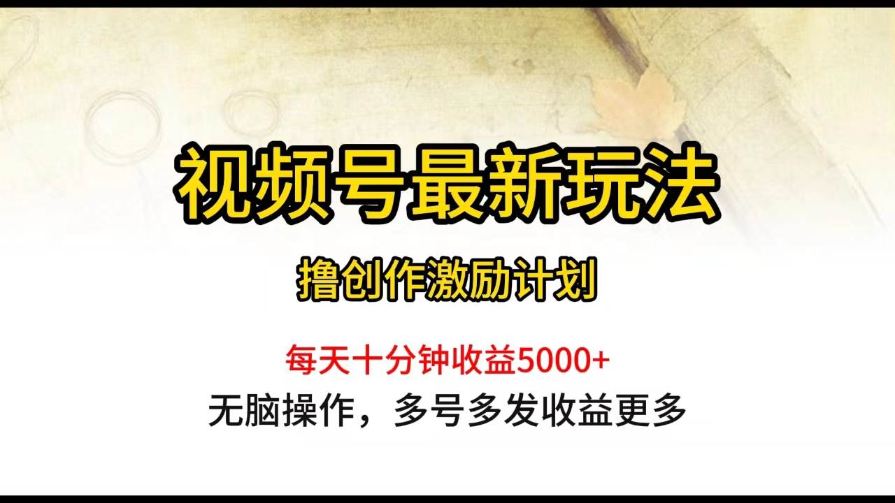 视频号最新玩法，每日一小时月入5000+-网赚资源网
