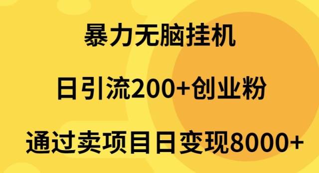 暴力无脑挂机日引流200+创业粉通过卖项目日变现2000+-网赚资源网