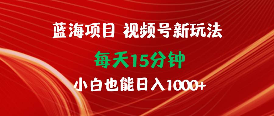 蓝海项目视频号新玩法 每天15分钟 小白也能日入1000+-网赚资源网