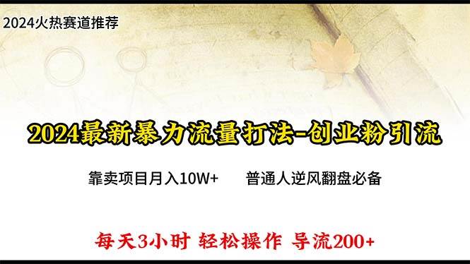 2024年最新暴力流量打法，每日导入300+，靠卖项目月入10W+-网赚资源网