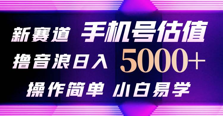 抖音不出境直播【手机号估值】最新撸音浪，日入5000+，简单易学，适合…-网赚资源网