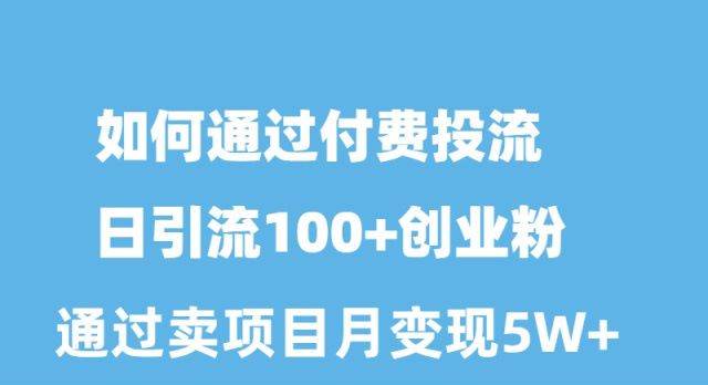 如何通过付费投流日引流100+创业粉月变现5W+-网赚资源网